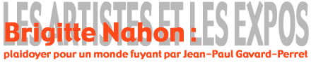 Les artistes et les expos : Brigitte Nahon : plaidoyer pour un monde fuyant
