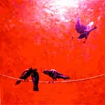 Denis Rivière, Sans-titre, série des corbeaux, 2004. Huile sur toile.