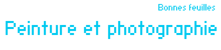 Bonnes feuilles : Peinture et photographie par Jean-Luc Chalumeau