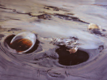 Dossier Philippe Garel _ Notice biographique de Philippe Garel