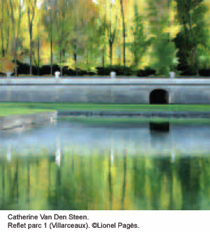 Catherine Van Den Steen. Reflet parc 1 (Villarceaux). 