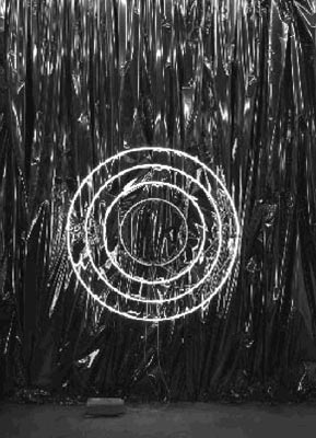 Les artistes et les expos _ " Ce n’est pas du cynisme, j’y crois vraiment " John M Armleder – Amor Vacui, Horror Vacui – MAMCO, Genève