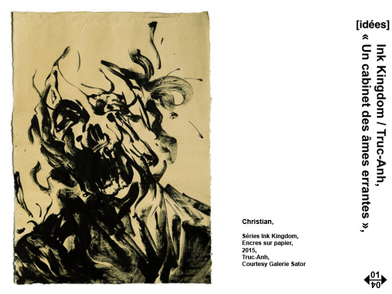 Truc-Anh, « Un cabinet des âmes errantes », par Myriam Dao 