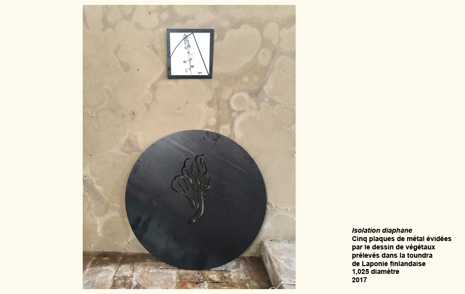 Edith Longuet-Allerme