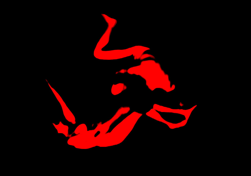 art photographie peinture sculpture installation visuelimage.net