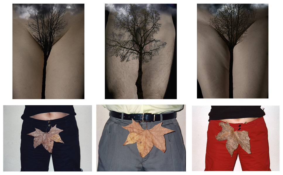 art photographie peinture sculpture installation visuelimage.net